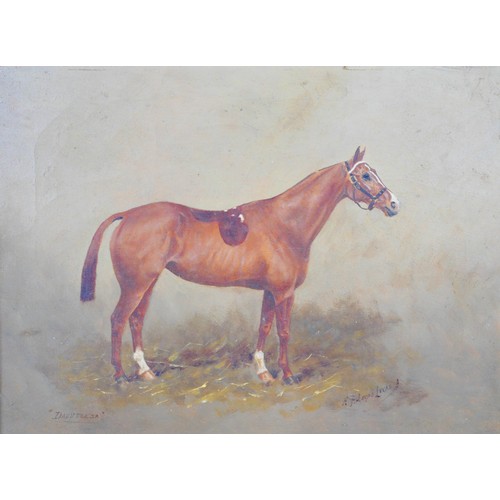 254 - Henry Frederick Lucas-Lucas (British, 1848-1943): 'Dauntless', an equine portrait of a chestnut mare... 