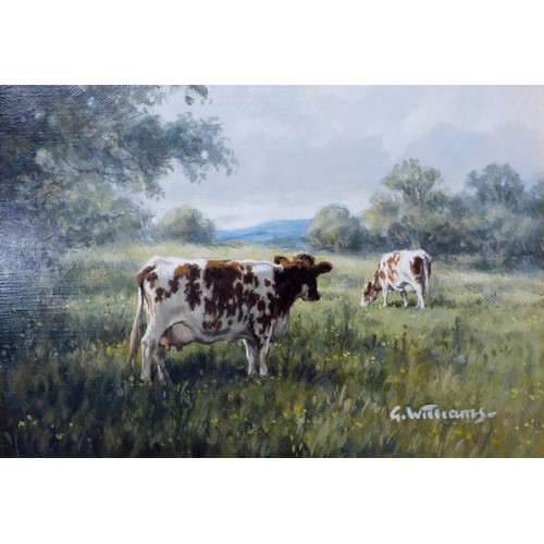 227 - Glynn Williams (British, 20th century): Ayrshire cattle in a field, signed, oil on panel, 12 by 17cm... 