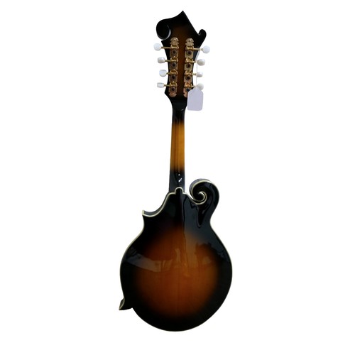 229 - An Ozark 2255 mandolin in tobacco burst, mother of pearl inlays, missing its scratch plate, together... 