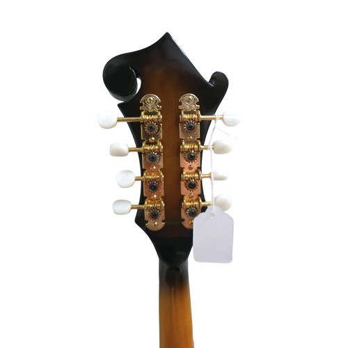 229 - An Ozark 2255 mandolin in tobacco burst, mother of pearl inlays, missing its scratch plate, together... 