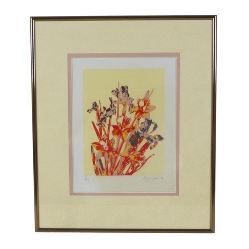 246 - A Robert Jones limited edition print, of mixed blooms, 5/500, dated 1974, signed lower right corner,... 