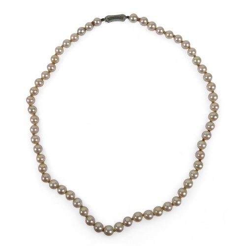 13 - A cultured pearl necklace, with 9ct white gold clasp, 40cm long, together with a pair of pearl flowe... 