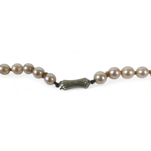 13 - A cultured pearl necklace, with 9ct white gold clasp, 40cm long, together with a pair of pearl flowe... 