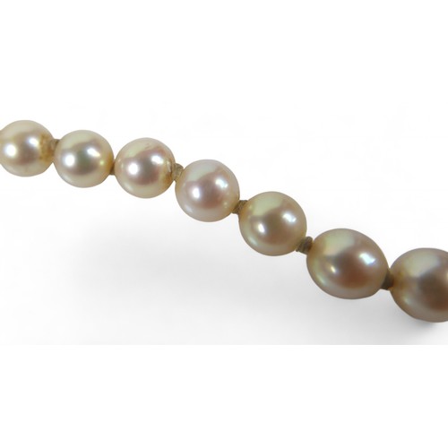 13 - A cultured pearl necklace, with 9ct white gold clasp, 40cm long, together with a pair of pearl flowe... 