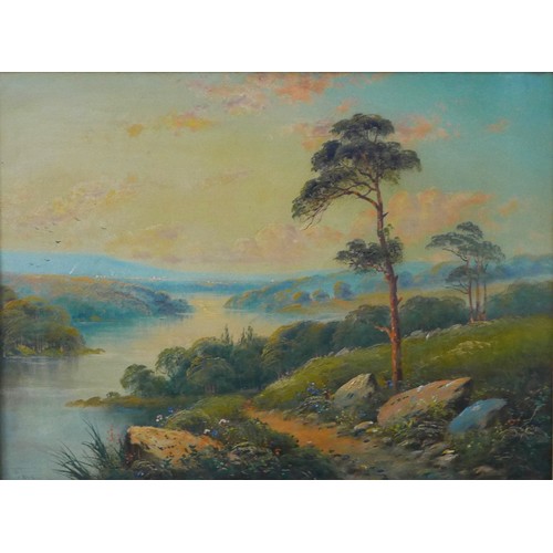 256 - After Niemann (19th century, Continental School): two landscape oil on canvases, signed, both 29 by ... 