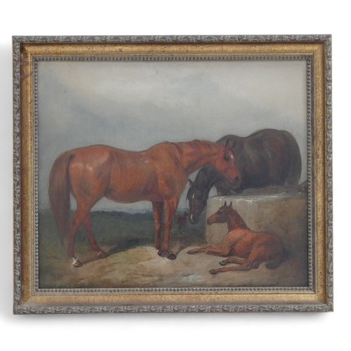 249 - An early 20th century study of three horses in a stable oil on canvas, indistinctly signed, 29 by 34... 