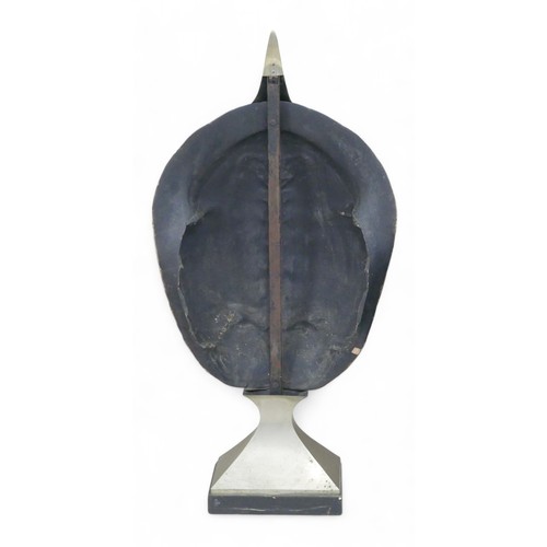 282 - Of taxidermy interest: An Anthony Redmile designed antique white river turtle shell fire guard, with... 