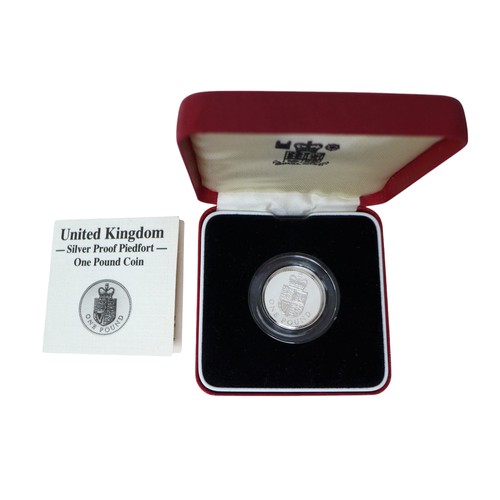 42 - Eight Royal Mint Silver Proof Piedfort £1 coins, comprising 1988, 1989, 1993, 1998, 1999, 2001, 2002... 