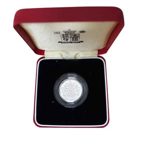 42 - Eight Royal Mint Silver Proof Piedfort £1 coins, comprising 1988, 1989, 1993, 1998, 1999, 2001, 2002... 