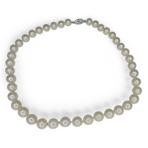 56 - A pearl necklace on 18ct white gold clasp, the single  strand comprising oval pearls interspersed wi... 