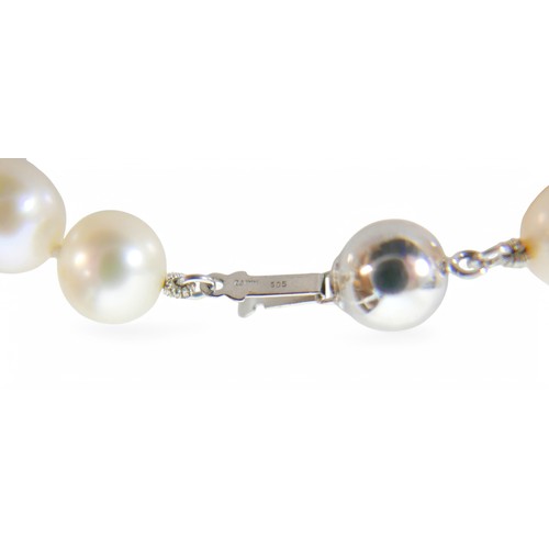 26 - A string of pearls and earrings with 14ct white gold clasp and stud fittings, pearls are approximate... 