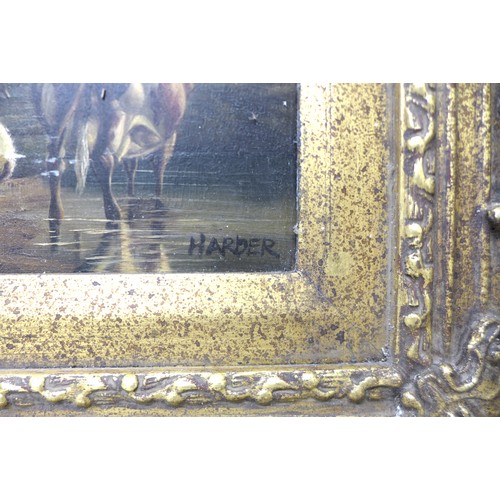 256 - Harder-oil on tin of three cows and a bull, in a gilt swept frame, signed bottom right, 24 by 19cm, ... 