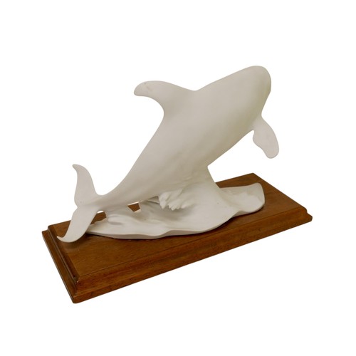 147 - A Kaiser white matt bisque porcelain figure, modelled as a Killer Whale, (Orcinus Orca), model no 57... 