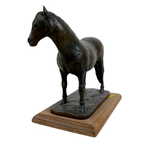 166 - A bronzed resin equine sculpture, modelled as a Welsh Cob, by Peter & Eileen Fagan, limited edition ... 