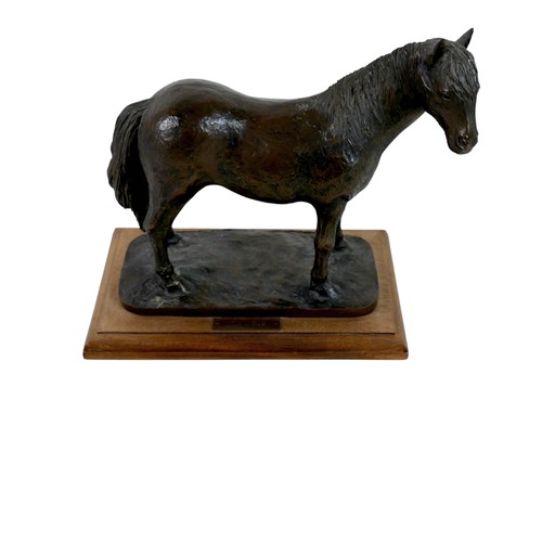 166 - A bronzed resin equine sculpture, modelled as a Welsh Cob, by Peter & Eileen Fagan, limited edition ... 