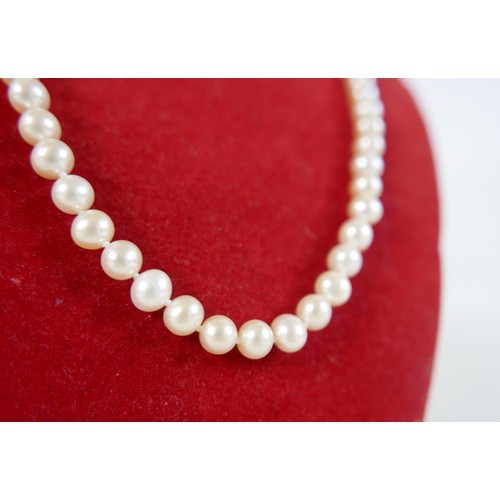 22 - A single string pearl necklace with 9ct gold clasp, 44cm long.