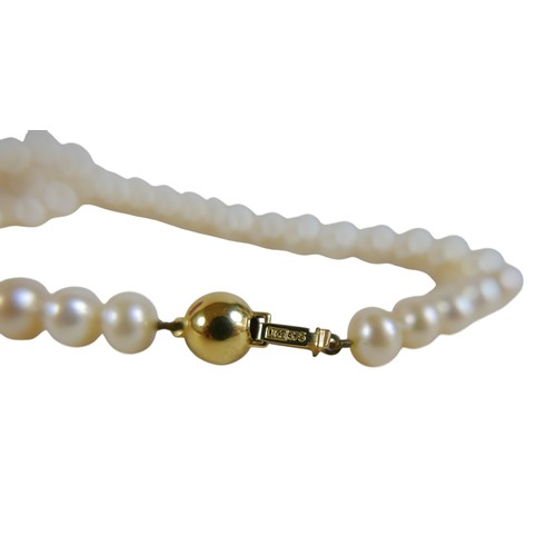 22 - A single string pearl necklace with 9ct gold clasp, 44cm long.