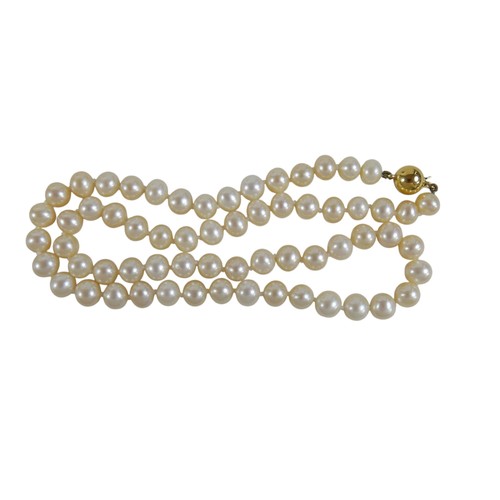 22 - A single string pearl necklace with 9ct gold clasp, 44cm long.