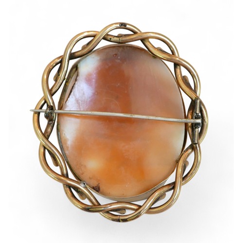 37 - A yellow metal mounted cameo brooch, 5.5 by 6.8cm, 21.5g gross.