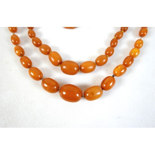 47 - Two butterscotch amber bead necklaces, both of forty five graduating beads, one with largest bead 22... 