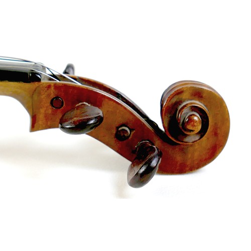 20 - An early 20th century Continental violin, bearing label 'Januarius Gagliano filius Alexandri fecit N... 