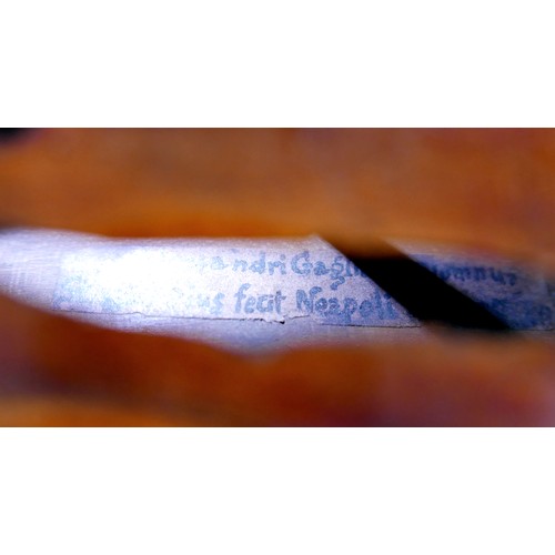 17 - An early 20th century Continental violin, bearing label 'Alessandri Gagliano Alumnus Stradiverius [s... 