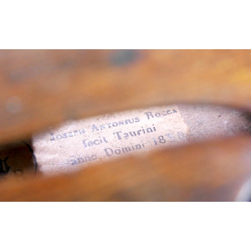 14 - A 19th century violin, bearing label 'Joseph Antonius Rocca fecit Taurini anno Domini 1850', with a ... 