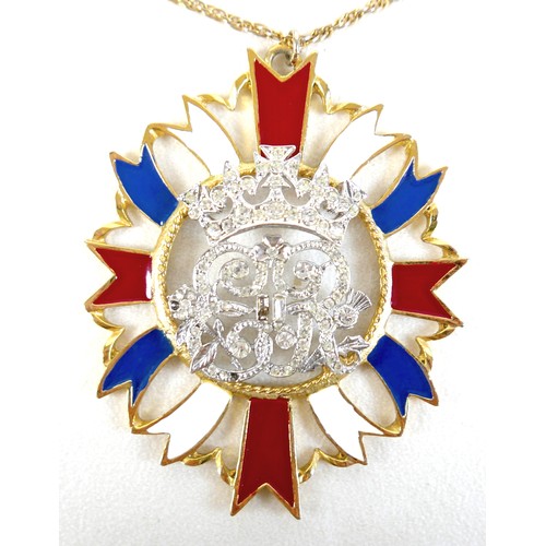 12 - An emerald cut loose ruby 8.92ct wit GIL laboratory card certificate, plus ER enamel pendant on chai... 