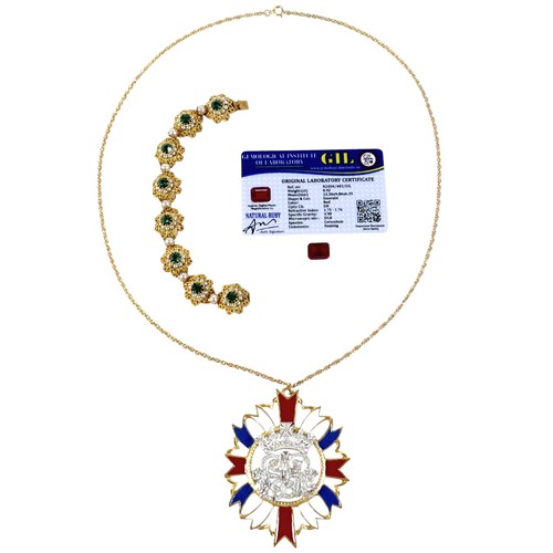 12 - An emerald cut loose ruby 8.92ct wit GIL laboratory card certificate, plus ER enamel pendant on chai... 