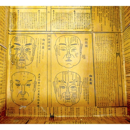 419 - A pair of Chinoiserie decorated bedside chests, late 20th century, each with three drawers, each 50 ... 