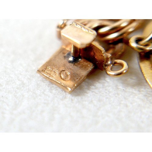 176 - A 9ct gold charm bracelet with assorted 9ct gold, 18ct and gilt metal charms, including 9ct Melton M... 