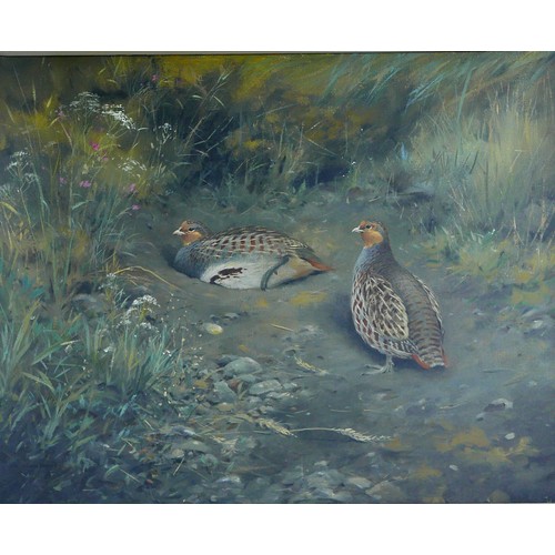 389 - Colin Burns (British, b.1944): 'Two Partridges' oil on canvas, signed, 42 by 52cm, glazed and framed... 