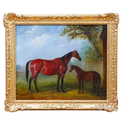 391 - John Ferneley Jr (British, 1815-1862): Mare and Foal, an equine portrait, oil on canvas, signed, 61.... 