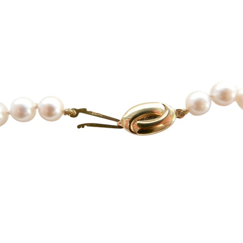 31 - A single string of pearls with a 9ct yellow clasp, 46cm long, pearls 6mm diameter, and a pair of gil... 