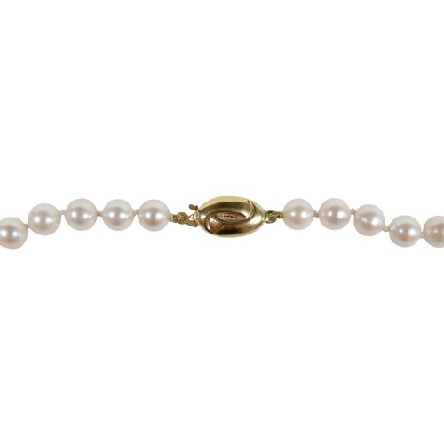 31 - A single string of pearls with a 9ct yellow clasp, 46cm long, pearls 6mm diameter, and a pair of gil... 