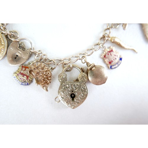 8 - A 9ct gold charm bracelet with assorted charms and a Victoria, veiled head, 1896 half sovereign, 63.... 