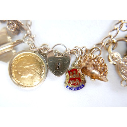 8 - A 9ct gold charm bracelet with assorted charms and a Victoria, veiled head, 1896 half sovereign, 63.... 