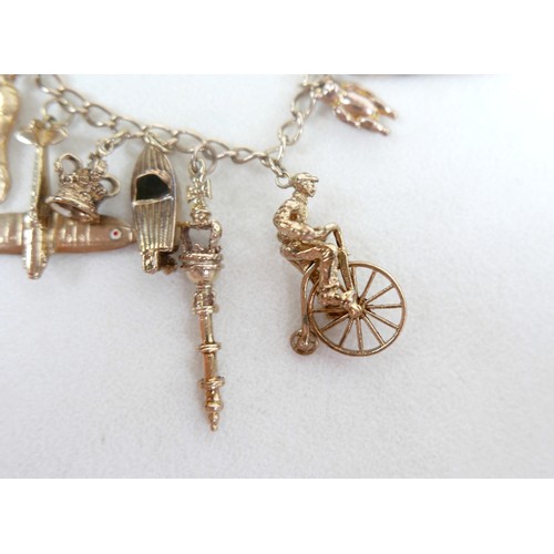 8 - A 9ct gold charm bracelet with assorted charms and a Victoria, veiled head, 1896 half sovereign, 63.... 