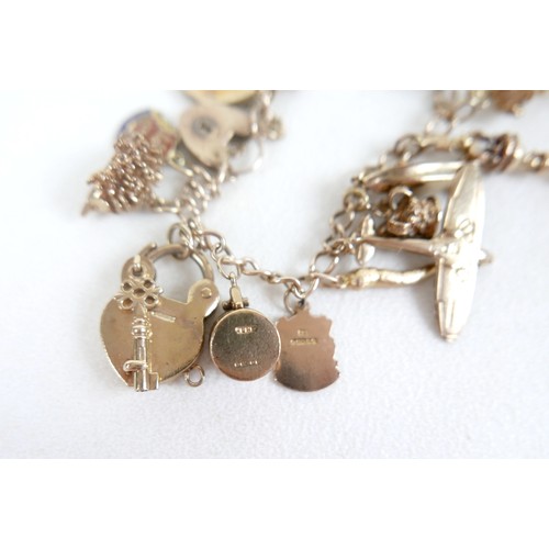 8 - A 9ct gold charm bracelet with assorted charms and a Victoria, veiled head, 1896 half sovereign, 63.... 