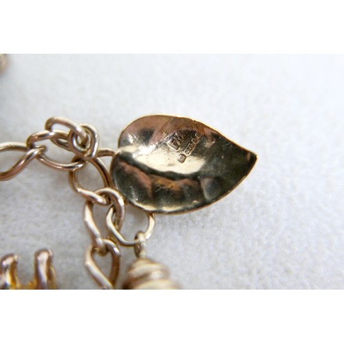 8 - A 9ct gold charm bracelet with assorted charms and a Victoria, veiled head, 1896 half sovereign, 63.... 