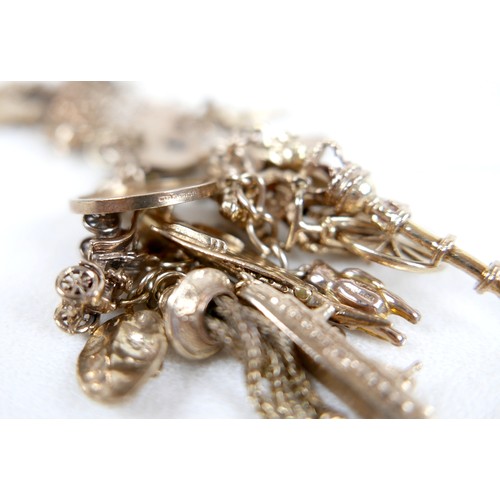 8 - A 9ct gold charm bracelet with assorted charms and a Victoria, veiled head, 1896 half sovereign, 63.... 