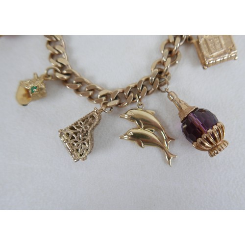 1 - A 9ct gold charm bracelet, flat curb, with assorted 9ct and 14ct gold charms including dolphins, bib... 