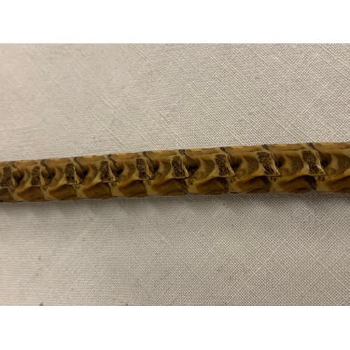 115 - Very rare, real snake spine cane with carved horn 
