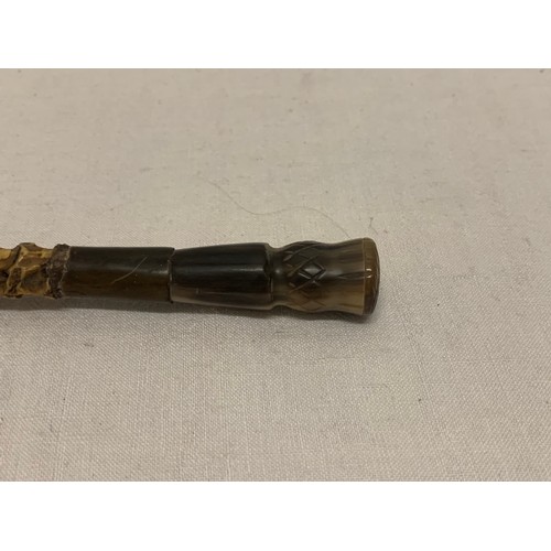 115 - Very rare, real snake spine cane with carved horn 