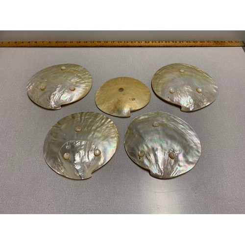 119 - 5 abalone shell trinket dishes.