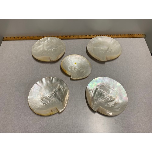 17 - 5 abalone shell trinket dishes.