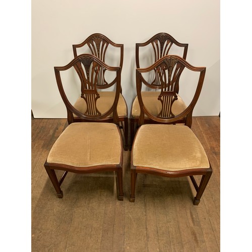 129 - 4 vintage shield back dining chairs.