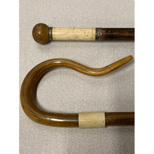 16 - Two vintage walking canes with bone collars.