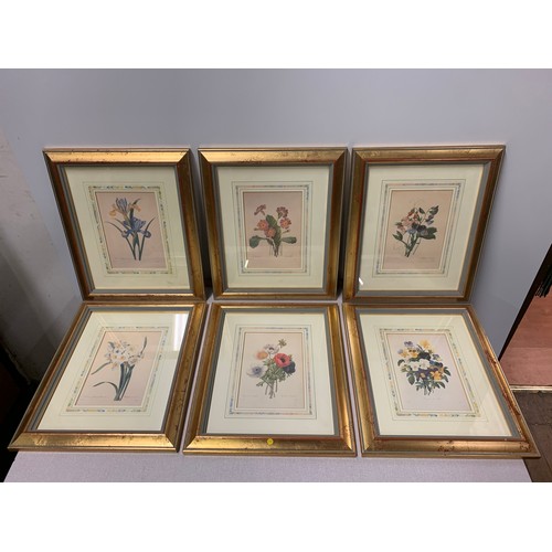 325a - Set of 6 Limited Edition framed prints 