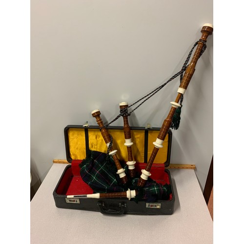 47 - Set of Indian bagpipes and case.